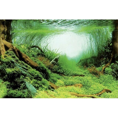 SuperFish Deco Poster C 120 x 61 cm