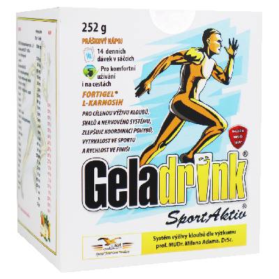 Geladrink SportAktiv 252 g