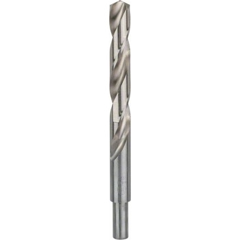 Bosch 2608585595