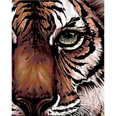 zuty Malování podle čísel Pohled tygra 80 x 100 cm vypnuté plátno na rám