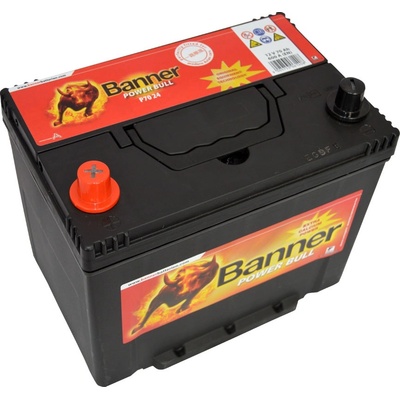 Banner Power Bull 12V 70Ah 600A P7024