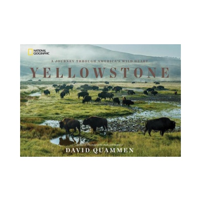 Yellowstone | David Quammen