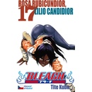Bleach 17
