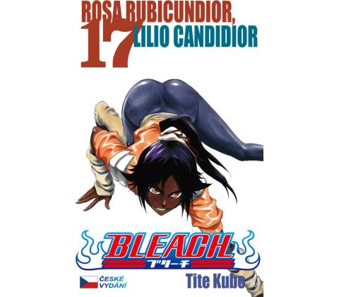 Bleach 17
