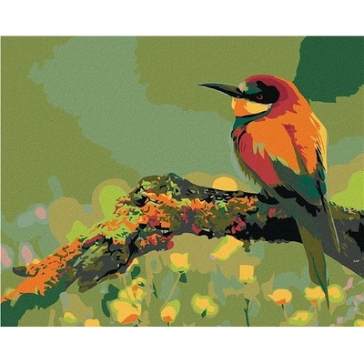 Zuty Malování podle čísel Malý barevný ptáček se špičatým zobákem 50 x 40 cm vypnuté plátno na rám