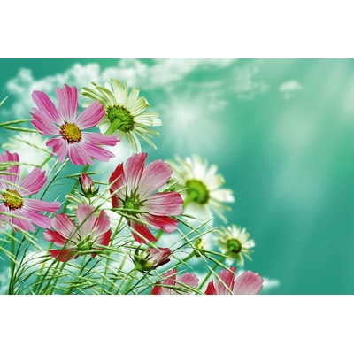 DIMEX ART Флизелинов фототапет летни цветя ii. 375 x 250 см