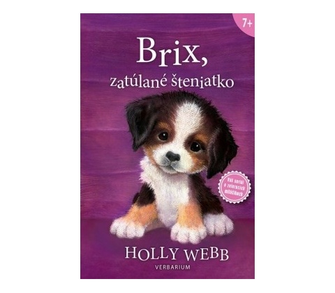Brix, zatúlané šteniatko
