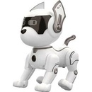 Robopes Junior