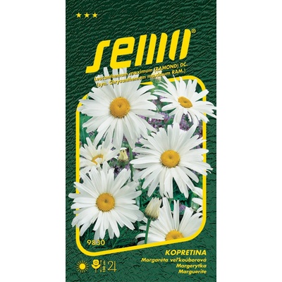 Semo Kopretina bílá - Shasta Daisy 0,8g