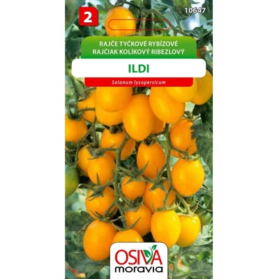 Osiva Moravia Rajče tyčkové rybízové žluté ILDI