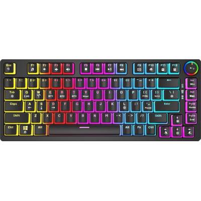 Savio Phenix RGB