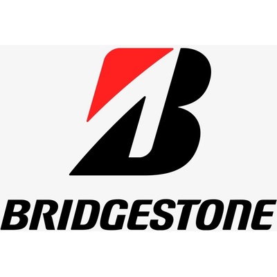 Bridgestone Blizzak 6 205/60 R16 96H