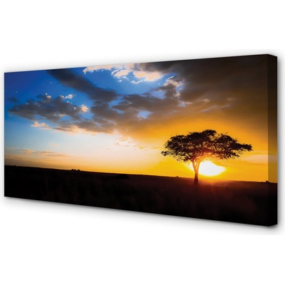 Obrazy na plátně mraky strom 100x50 cm – Hledejceny.cz