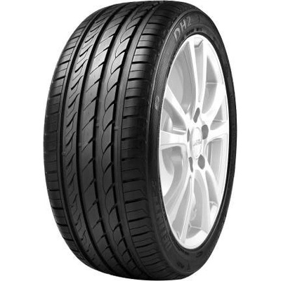 Delinte DH2 185/70 R14 88T
