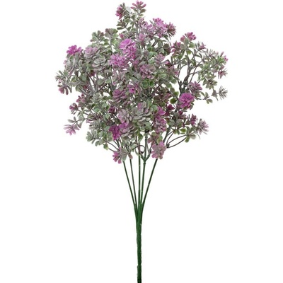 ZELEŇ SEDUM ZEL-FIALOVÁ 32CM