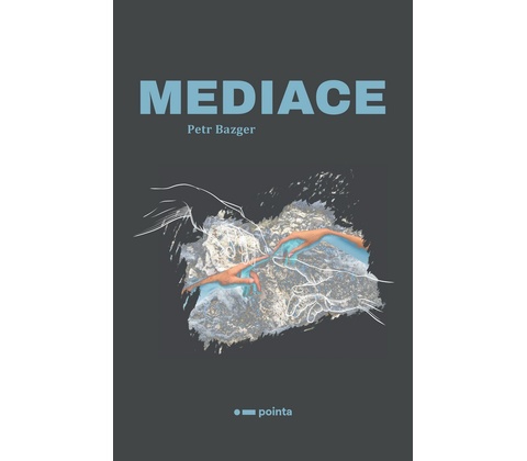 Mediace