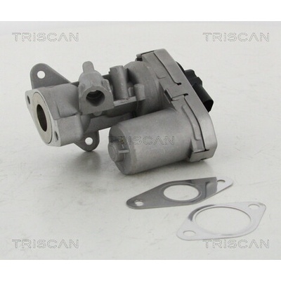 AGR - Ventil TRISCAN 8813 10002