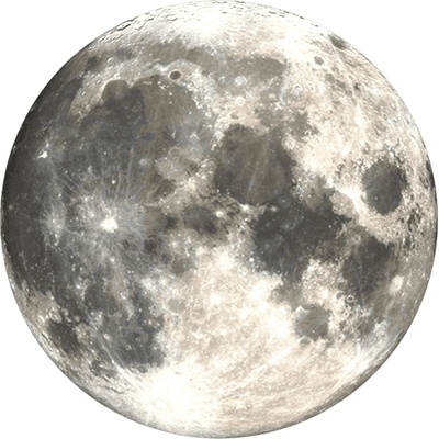 PopSockets PopGrip Moon 800454