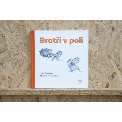 Bratři v poli Jana Šrámková
