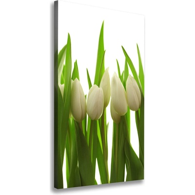 Vertikálny foto obraz na plátne Biele tulipány 50x100 cm