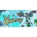Owlboy