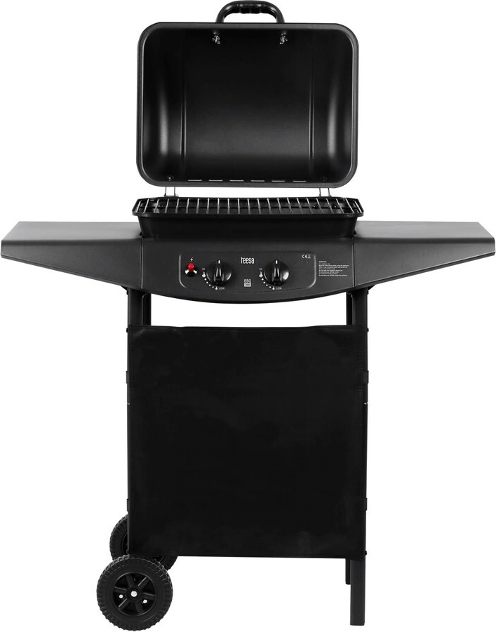 Teesa BBQ2000