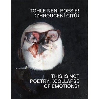 Tohle není poesie! - Zhroucení citů | Martin Gerboc, rozhovor Jana Kudrny s Robertem Runtákem