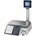 CAS CL 3000