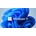 Microsoft Windows 11 Professional 64bit ENG (4YR-00316)