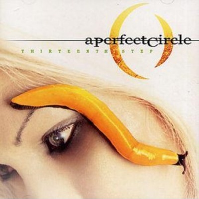 PERFECT CIRCLE: THIRTEENTH STEP CD