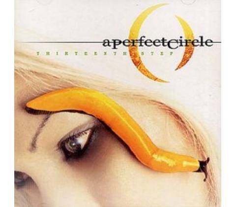 PERFECT CIRCLE: THIRTEENTH STEP CD