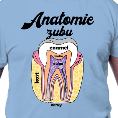 Tričko pro zubaře Anatomie pánské – Hledejceny.cz
