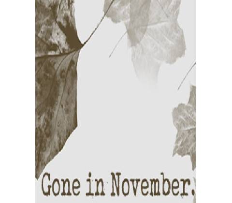 Gone In November