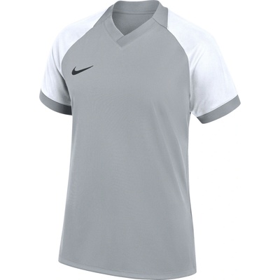 Nike Dri-FIT Trophy VI Women šedá