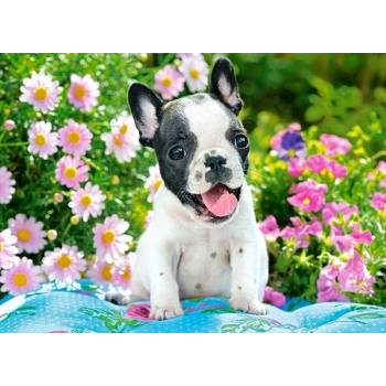 Image 1 of Castorland - Puzzle French Bulldog Puppy - 40 - 99 piese
