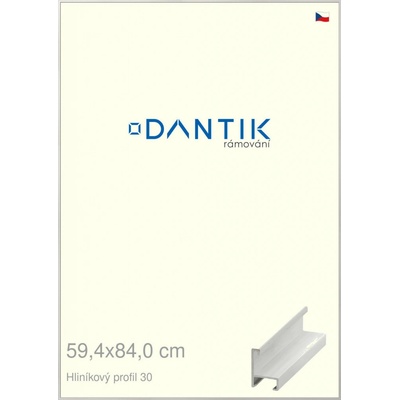 DANTIK rám na obraz 59,4x84 Dýha bílá