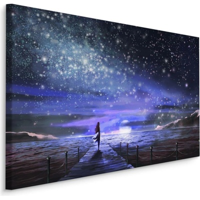 Plátno Noční Moře A Hvězdy Varianta: 70x50