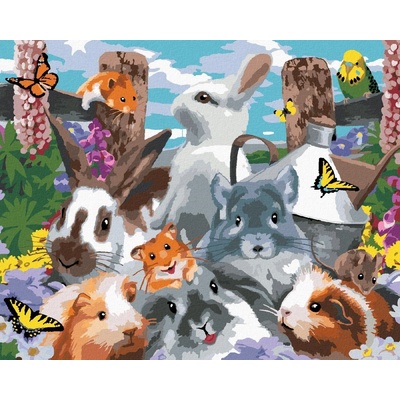 zuty Malování podle čísel Hlodavci na zahradě a andulka Howard Robinson 40 x 50 cm bez rámu a bez vyp 8596530063445 – Hledejceny.cz