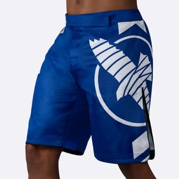 Hayabusa fightwear Шорти Hayabusa Icon Blue - M