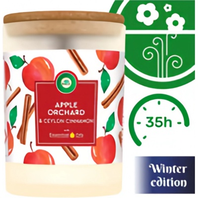 Air Wick Essentials Oils Apple Orchard & Ceylon Cinnamon 185 g