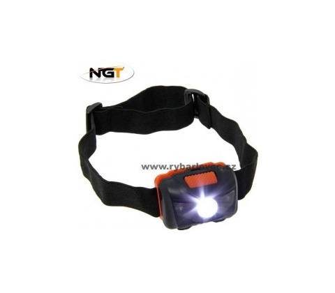 NGT 01