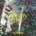 Mighty Oaks - All Things Go LP