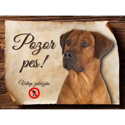 Sport hobby Cedulka Rhodéský ridgeback II Pozor pes zákaz CP543 20 x 15 cm