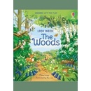 Look Inside the Woods