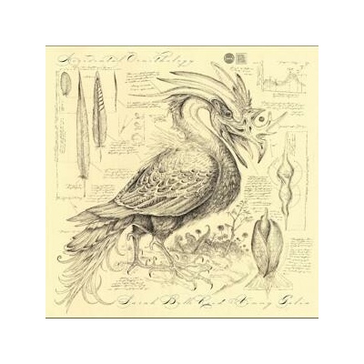 Sarah Belle Reid - ACCIDENTAL ORNITHOLOGY CD