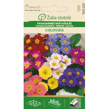 Image 1 of Seklos Иглика (Примула) Микс Рrimula veris