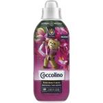 Coccolino Омекотител за тъкани Coccolino 645ml Fiori di Tiaré&Frutti Rossi 28PD