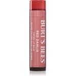 Burt's Bees Tinted Lip Balm балсам за устни цвят Red Dahlia 4.25 гр