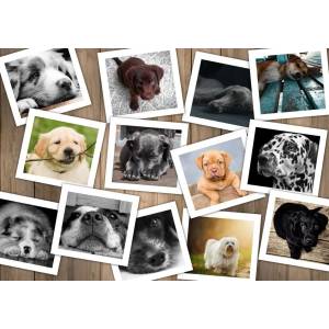 Grafika Art Puzzle - Puzzle Dogs II - 1 500 piese