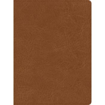 CSB He Reads Truth Bible, Saddle Leathertouch | He Reads Truth, Raechel Myers